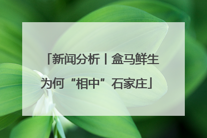 新闻分析丨盒马鲜生为何“相中”石家庄