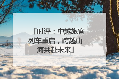 时评：中越旅客列车重启，跨越山海共赴未来