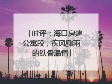 时评：海口房建公寓段，疾风骤雨的铁骨温情