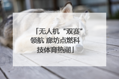 无人机“双赛”领航 廊坊点燃科技体育热潮