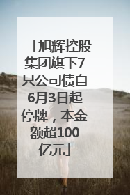 旭辉控股集团旗下7只公司债自6月3日起停牌，本金额超100亿元