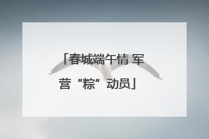 春城端午情 军营“粽”动员