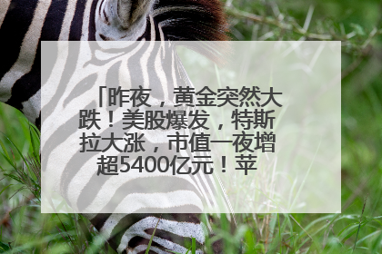 昨夜，黄金突然大跌！美股爆发，特斯拉大涨，市值一夜增超5400亿元！苹果传来大消息