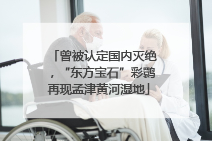 曾被认定国内灭绝，“东方宝石”彩鹮再现孟津黄河湿地