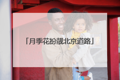 月季花扮靓北京道路