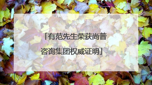 有范先生荣获尚普咨询集团权威证明