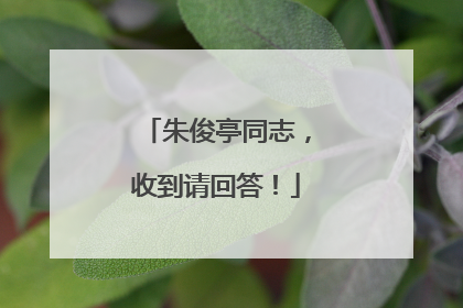 朱俊亭同志，收到请回答！