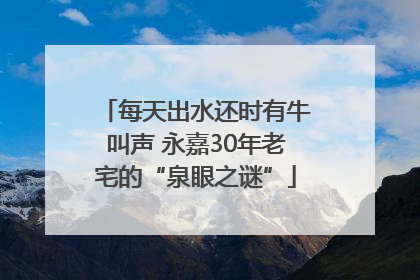每天出水还时有牛叫声 永嘉30年老宅的“泉眼之谜”