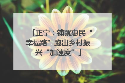 正宁：铺就惠民“幸福路”跑出乡村振兴“加速度”