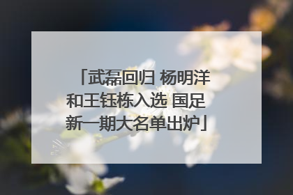 武磊回归 杨明洋和王钰栋入选 国足新一期大名单出炉