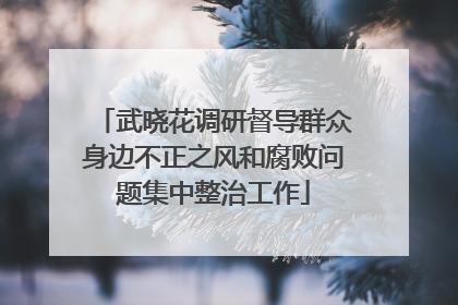武晓花调研督导群众身边不正之风和腐败问题集中整治工作