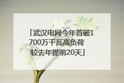 武汉电网今年首破1700万千瓦高负荷 较去年提前20天