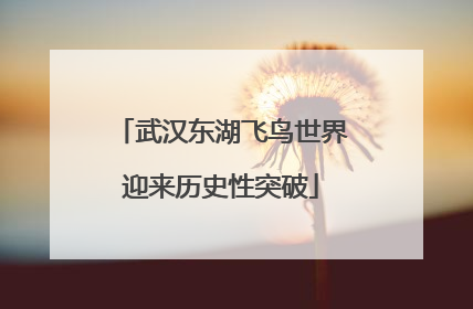 武汉东湖飞鸟世界迎来历史性突破