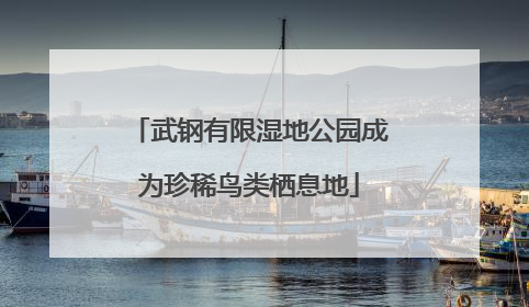 武钢有限湿地公园成为珍稀鸟类栖息地