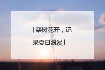栾树花开，记录夏日浪漫