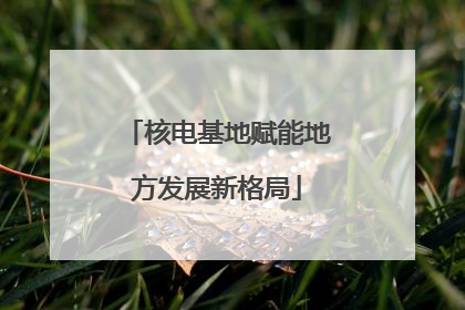 核电基地赋能地方发展新格局