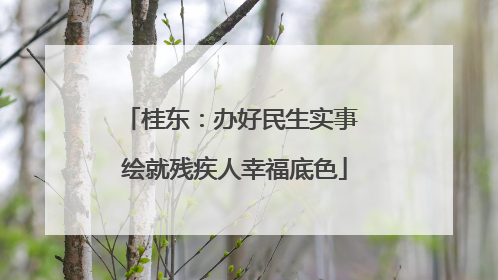 桂东：办好民生实事 绘就残疾人幸福底色
