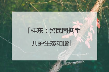 桂东：警民同携手 共护生态和谐