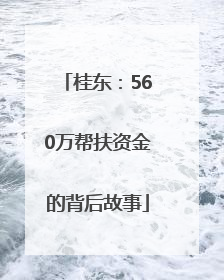 桂东：560万帮扶资金的背后故事