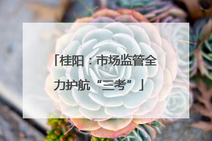 桂阳：市场监管全力护航“三考”