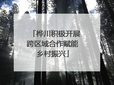 桦川积极开展跨区域合作赋能乡村振兴