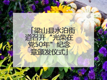梁山县水泊街道召开“光荣在党50年”纪念章颁发仪式