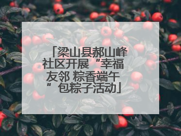 梁山县郝山峰社区开展“幸福友邻 粽香端午”包粽子活动