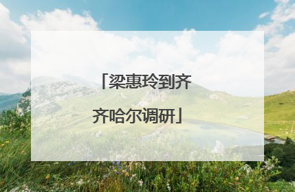 梁惠玲到齐齐哈尔调研