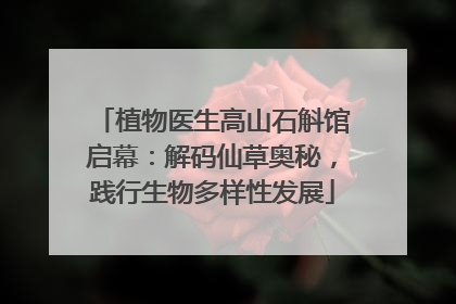 植物医生高山石斛馆启幕：解码仙草奥秘，践行生物多样性发展