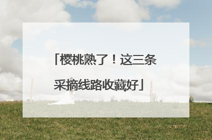 樱桃熟了！这三条采摘线路收藏好