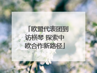 欧盟代表团到访横琴 探索中欧合作新路径