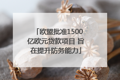 欧盟批准1500亿欧元贷款项目 旨在提升防务能力