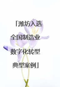潍坊入选全国制造业数字化转型典型案例