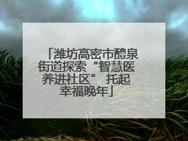 潍坊高密市醴泉街道探索“智慧医养进社区” 托起幸福晚年
