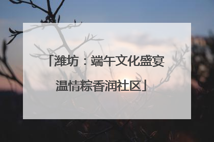 潍坊：端午文化盛宴 温情粽香润社区