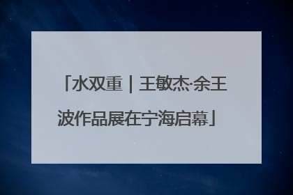 水双重｜王敏杰·余王波作品展在宁海启幕