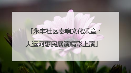 永丰社区奏响文化乐章：大运河惠民展演精彩上演