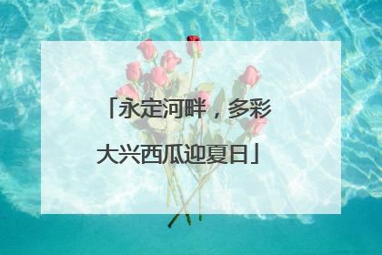 永定河畔，多彩大兴西瓜迎夏日