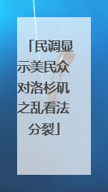 民调显示美民众对洛杉矶之乱看法分裂