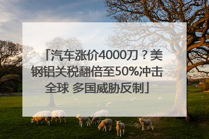汽车涨价4000刀？美钢铝关税翻倍至50%冲击全球 多国威胁反制