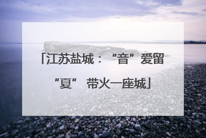 江苏盐城：“音”爱留“夏” 带火一座城