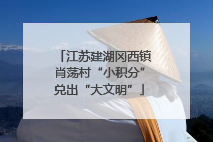 江苏建湖冈西镇肖荡村“小积分”兑出“大文明”