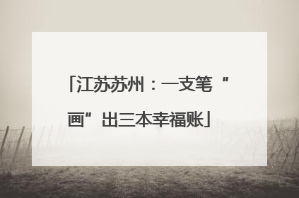 江苏苏州：一支笔“画”出三本幸福账