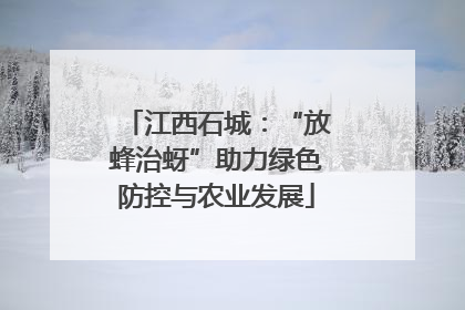 江西石城：“放蜂治蚜”助力绿色防控与农业发展