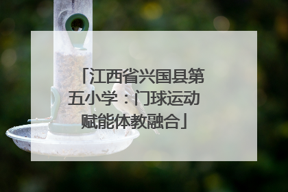 江西省兴国县第五小学：门球运动赋能体教融合