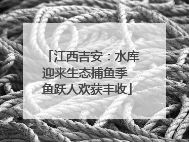 江西吉安：水库迎来生态捕鱼季 鱼跃人欢获丰收