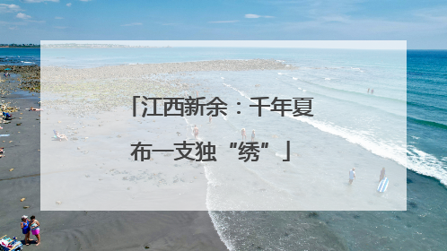 江西新余：千年夏布一支独“绣”