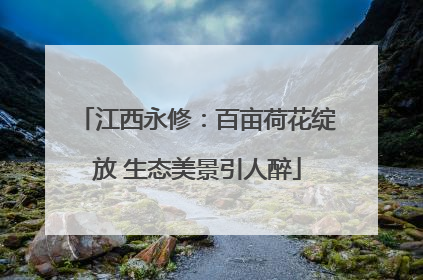 江西永修：百亩荷花绽放 生态美景引人醉