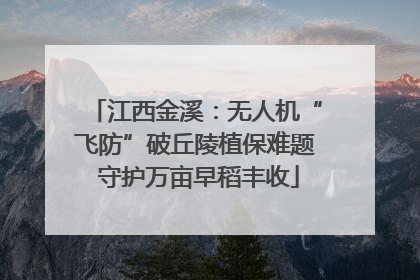 江西金溪：无人机“飞防”破丘陵植保难题 守护万亩早稻丰收