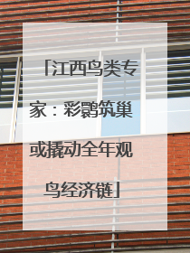 江西鸟类专家：彩鹮筑巢或撬动全年观鸟经济链